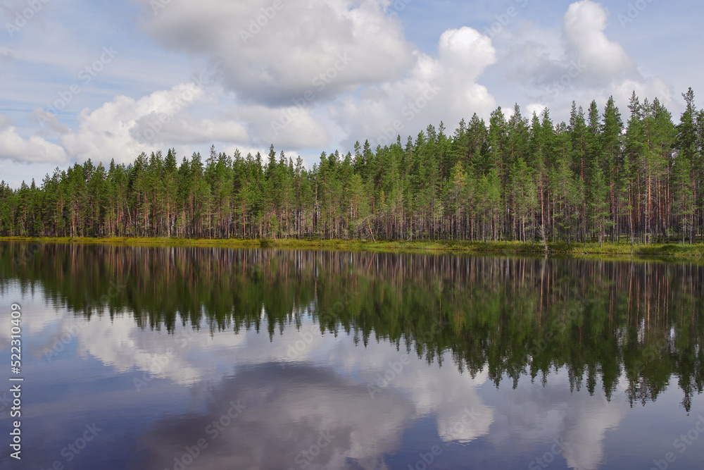 Patvinsuo National Park in Finland: Northern European nature, Suomunjarvi lake.