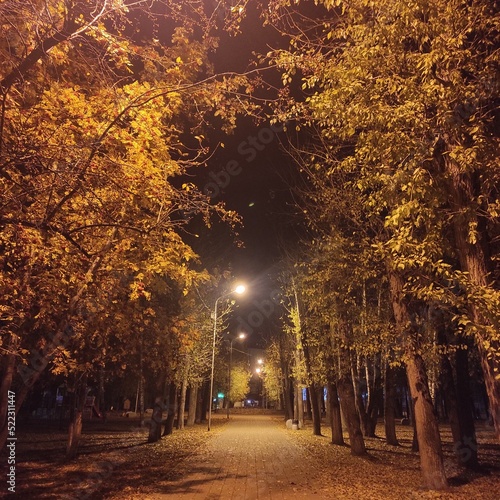 autumn in the park