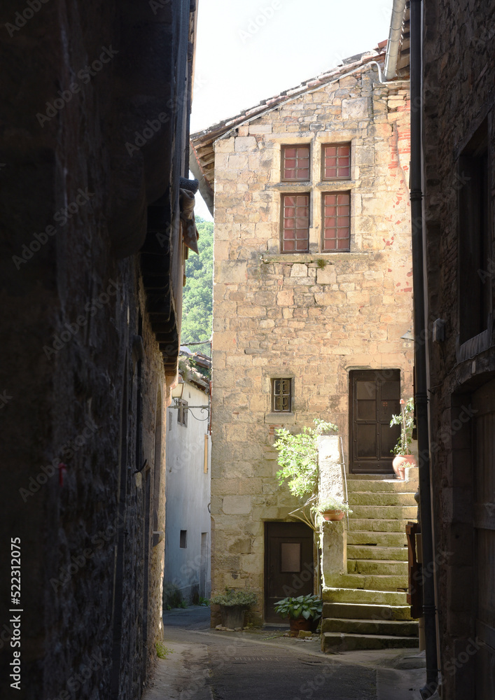 Fototapeta premium St Antonin Noble Val France Maison