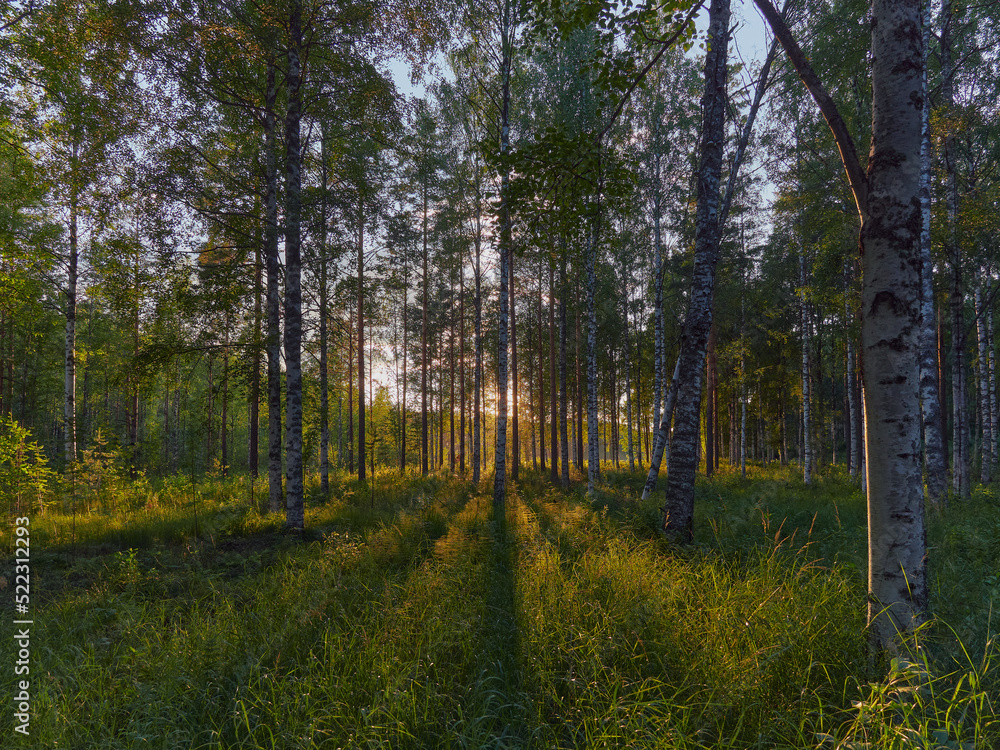 Nature around Uusi Valamo orthodox monastery in Finnish Heinavesi. Nature around Uusi Valamo orthodox monastery in Finnish Heinavesi.