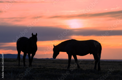 Wild Horses Silhouetted in a Utah Desert Sunset