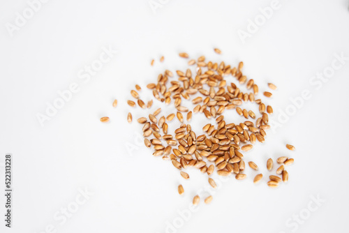 Flat lay microgreen seeds on white background