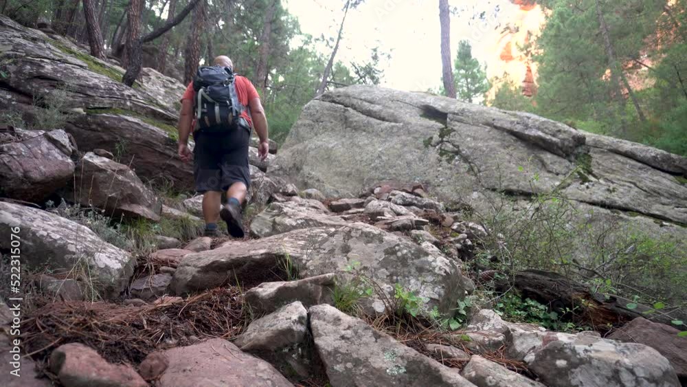 Rear view, male hiker walking on rocky path Rear view, male hiker walking on rocky path