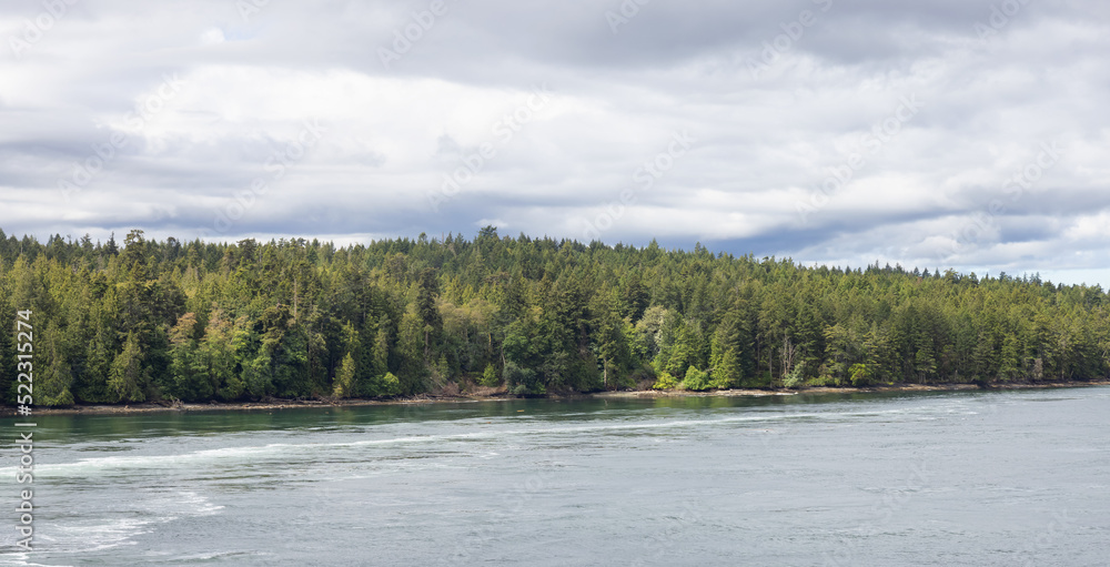 Canadian Landscape by the ocean and mountains. Summer Season. Gulf Islands near Vancouver Island, British Columbia, Canada. Canadian Landscape.