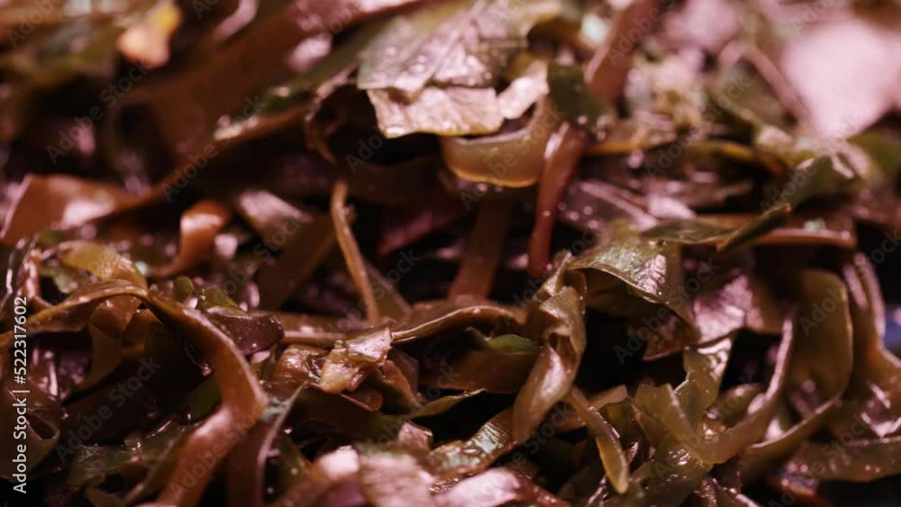 A pile of seaweed lettuce in bulk A pile of seaweed lettuce in bulk