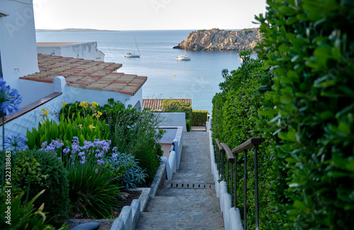 Menorca, Spain. Flowers with view of Arenal d'es Castell beach in Menorca, Spain