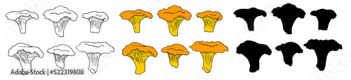 a set of chanterelles. Vector isolated yellow edible chanterelle mushrooms with black outline and silhouette on white. hand-drawn forest chanterelle mushrooms in a realistic style for labels, menus, p