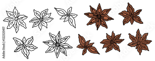 spice icons star anise brown. a collection of silhouettes black isolated brown of spicy anise on white for a packaging design template, label. star anise top view in the style of a sketch drawn by han