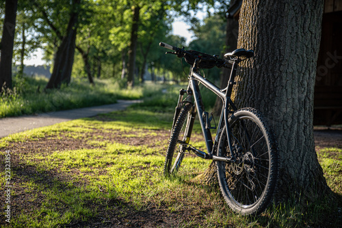 Fahrradweg in Schneverdingen L  neburger Heide