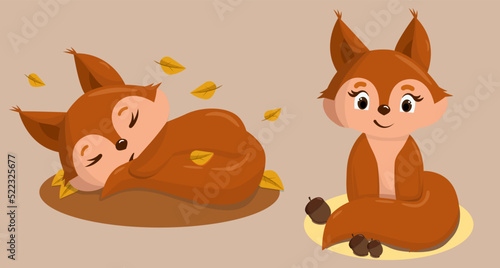 Cute squirrel. Funny squirrel baby.