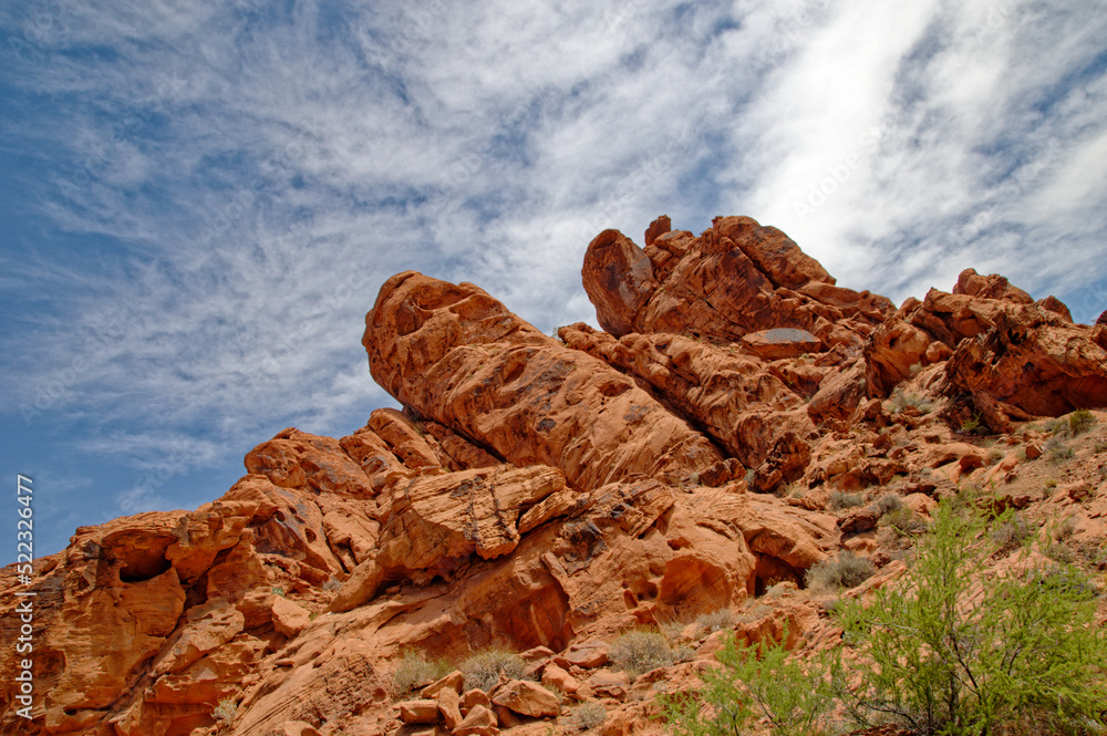 Fototapeta premium red rocks in the desert