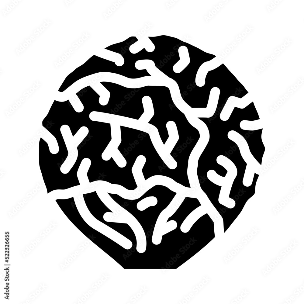 kachan salad glyph icon vector. kachan salad sign. isolated symbol illustration kachan salad glyph icon vector. kachan salad sign. isolated symbol illustration