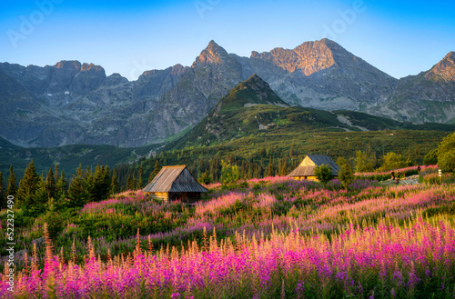 Beautiful summer morning in the mountains - Hala Gasienicowa in Poland - Tatras