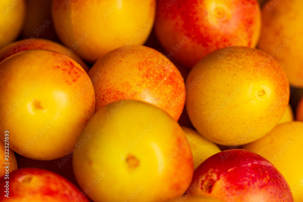 Macro closeup of colorful yellow and red Mirabelle Plums. Healthy vegan food. Macro closeup of colorful yellow and red Mirabelle Plums. Healthy vegan food.