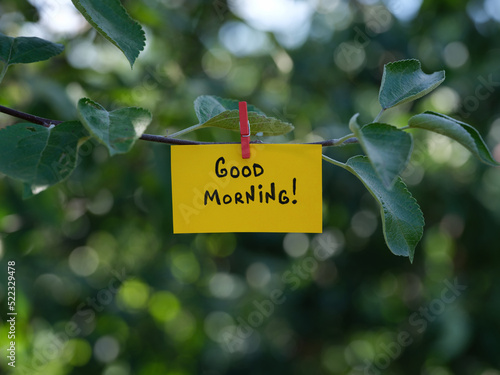 A yellow paper note with the phrase Good Morning! on it attached to a tree branch with a clothes pin © Stepan Popov