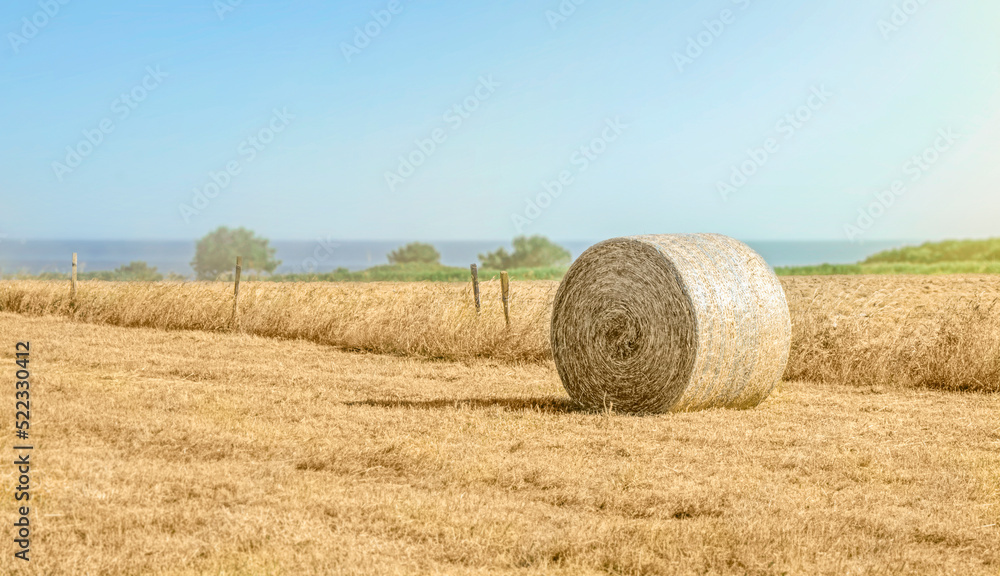 Hay bales in the field with blue sky on the background