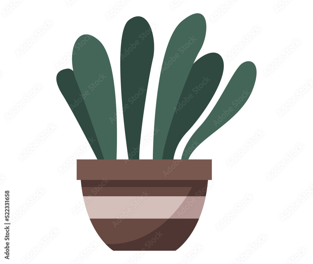 houseplant in ceramic pot houseplant in ceramic pot