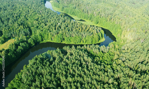 Aerial view of a green forest with a mountain river. Beautiful national Park background