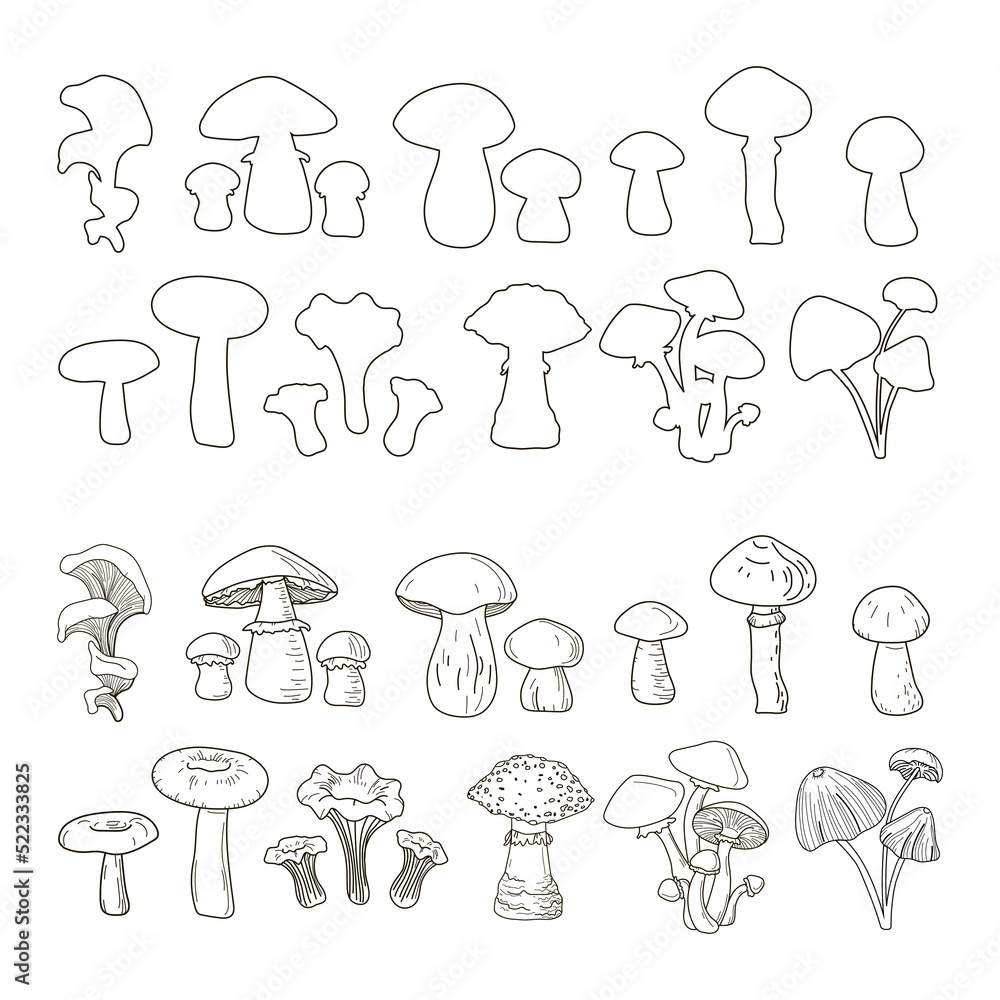 Set of boletuses, oyster mushrooms, mushrooms, dunnocks, cloudberries, fly agarics, boletuses, chanterelles, honeydew agarics, drawn in outline and doodle style. Vector Set of boletuses, oyster mushrooms, mushrooms, dunnocks, cloudberries, fly agarics, boletuses, chanterelles, honeydew agarics, drawn in outline and doodle style. Vector