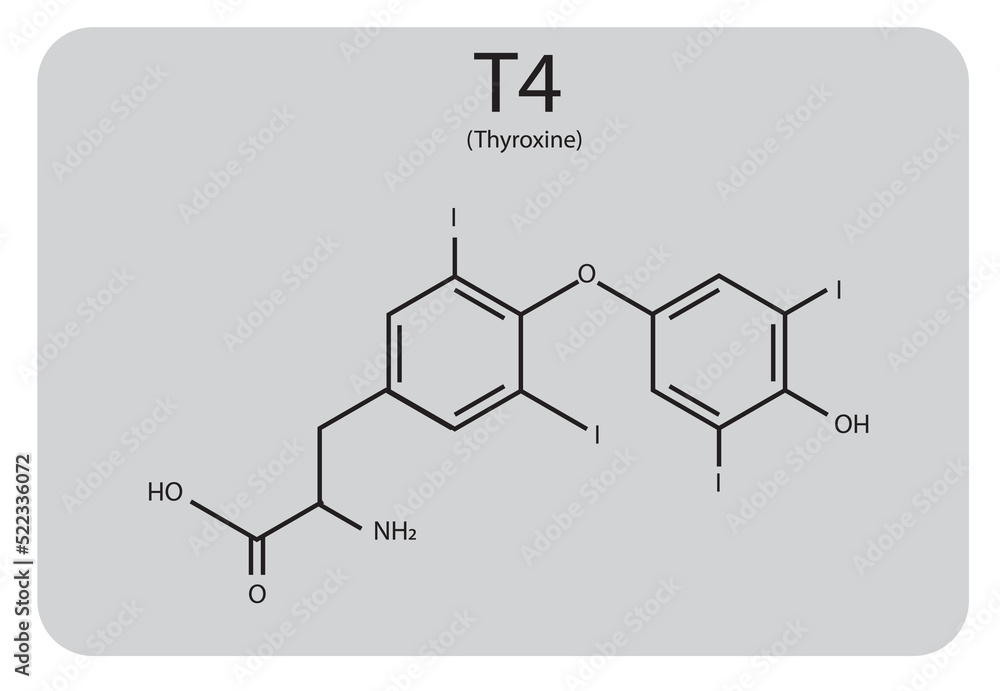 Thyroid Gland hormone. T4 chemical structure Thyroid Gland hormone. T4 chemical structure