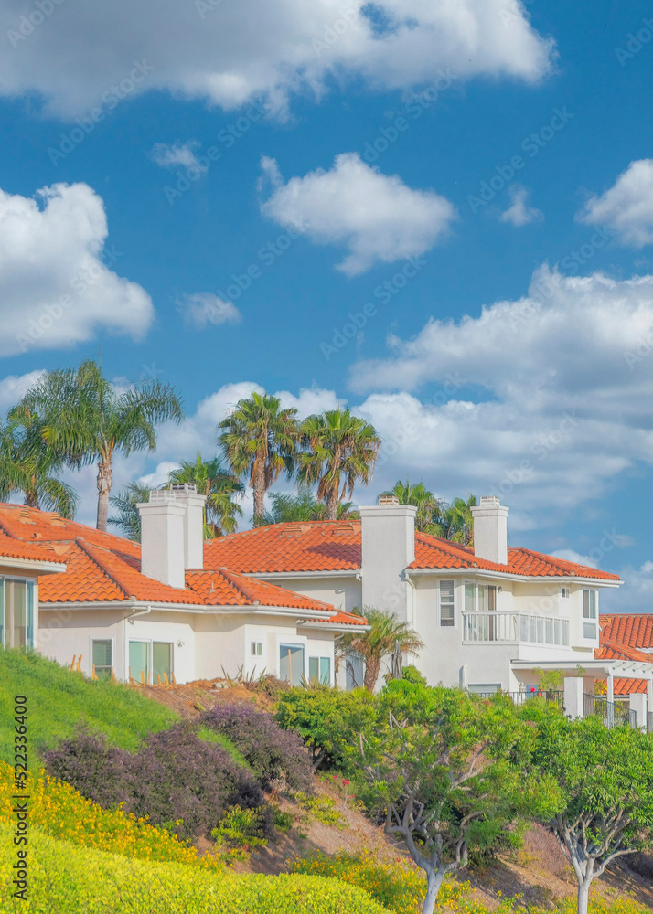 Vertical White puffy clouds Residential homes with orange bricks roofs and palm trees at Sou