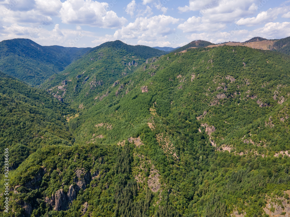 Obraz premium Aerial view of Ecotrail Struilitsa and Devin River gorge, Bulgaria