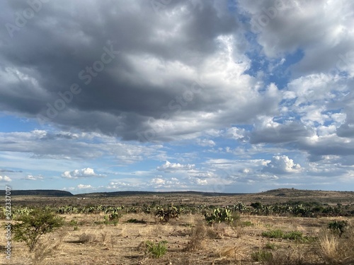 arid landscape with blue sky and grey clouds in the background