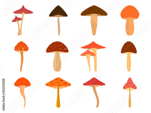 Set of mushrooms isolated on white background. Various mushrooms, edible and toadstools. Poisonous mushrooms and hallucinogenic fly agaric. Icon for banners and promotional items. Vector illustration