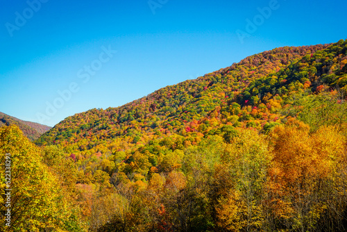 Fototapeta Naklejka Na Ścianę i Meble -  Autumn Colors on an Appalachian Mountainside under a clear blue sky