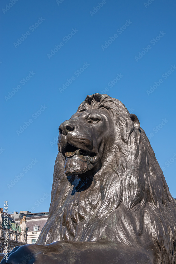 London, UK- July 4, 2022: Trafalgar Square. Lion's head statue closeup at Nelson's Column against blue sky. London, UK- July 4, 2022: Trafalgar Square. Lion's head statue closeup at Nelson's Column against blue sky.