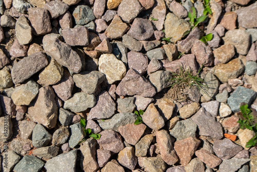 wild green grass grows through grey color of the crushed granite and limestone coarse gravel foreground closeup. High quality photo