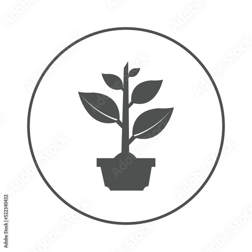 Flowerpot leave tree plant icon | Circle version icon |