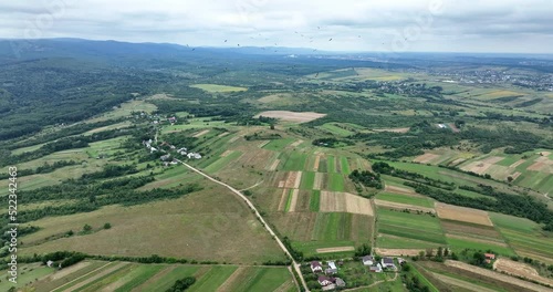Scenic aerial panoramic landscape with flock of white storks in sky