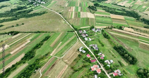 Many white storks circling over the Ukrainian land, Europe. Aerial view, 4k
