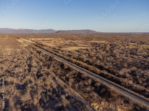 Beautiful road in the middle of the Brazilian savannah  the cerrado  surrounded by low plants with an endless straight track at sunset illuminating the scenery
