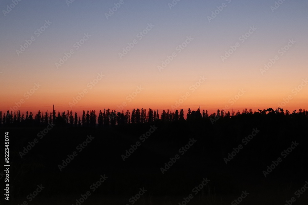 Sunrise with row of trees in the backlight