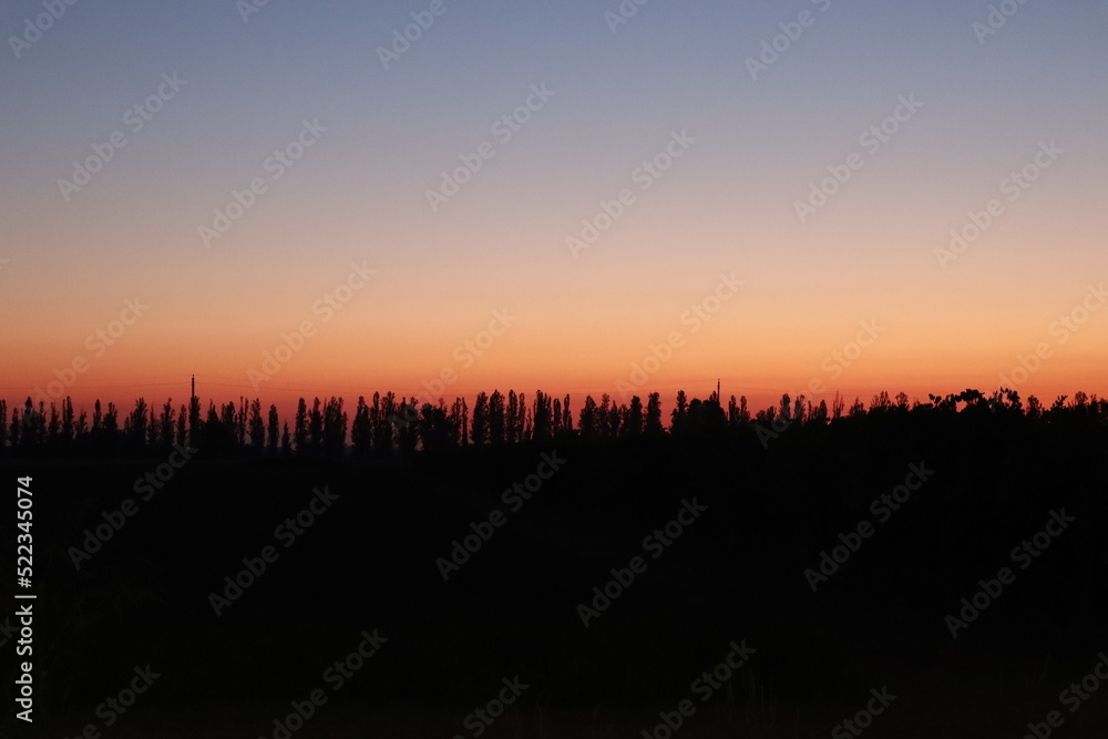 Sunrise with row of trees in the backlight Sunrise with row of trees in the backlight