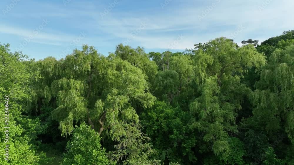 Mississauga city Nature Drone Shot_ Drone shot, Ontario, Canada, Top of the City, Nature, beautiful view of the river and highway Mississauga city Nature Drone Shot_ Drone shot, Ontario, Canada, Top of the City, Nature, beautiful view of the river and highway