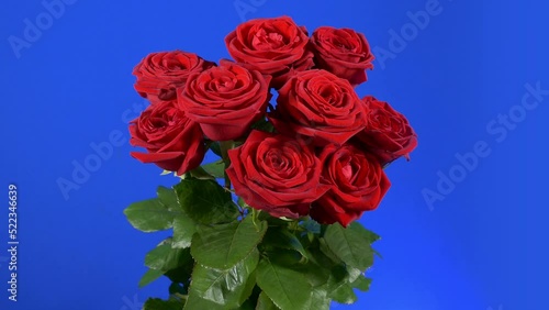 Roses Store Display Moving Shot