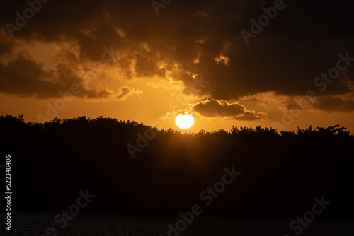 Wallpaper Mural sunset over the forest, potengi river, christmas, Large northern river, Brazil, sunset background	 Torontodigital.ca