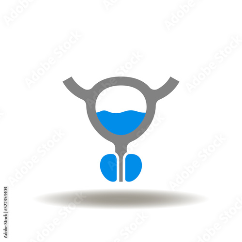 Vector illustration of male genitourinary system with ovary and prostate diagnosis. Symbol of prostatitis.