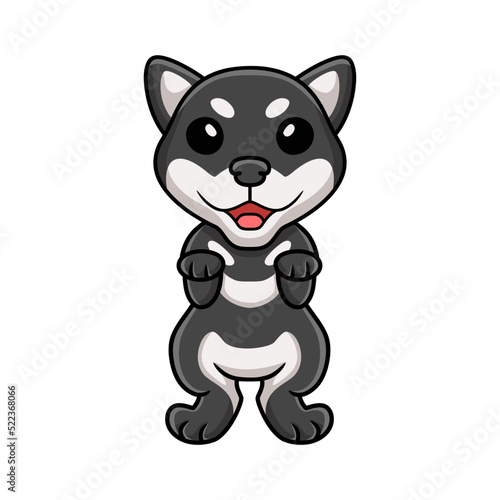 Cute black shiba inu dog cartoon posing