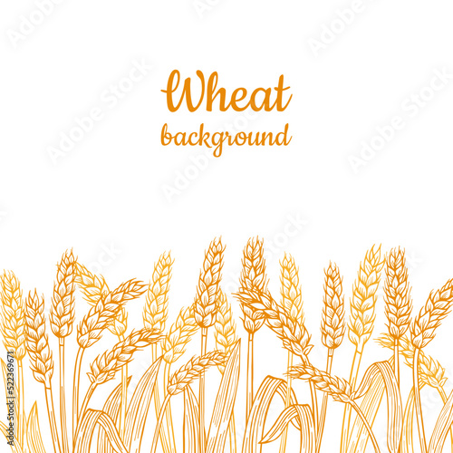 Wheat ear gold sketch border background. Agricultural linear golden flour production. Cereals ripe spike frame horizontal pattern. Design template farm stencil, organic bread, beer vector