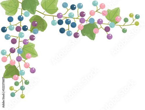 カラフルな野ぶどうのイラスト