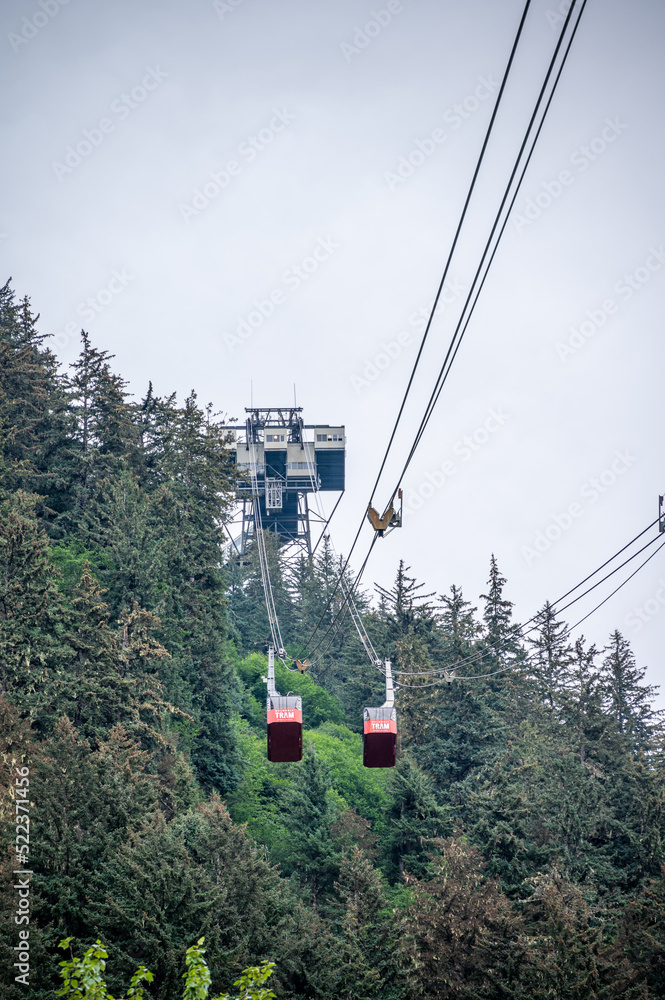  View of the tram in Juneau that travels from the cruise port to the top of Mount Roberts.