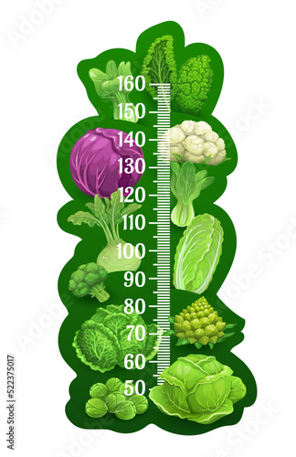 Farm cabbage and salads, kids height chart vector growth meter. Baby height measure scale ruler with green organic veggies, red cabbage, broccoli and cauliflower, pak and bok choi with kohlrabi