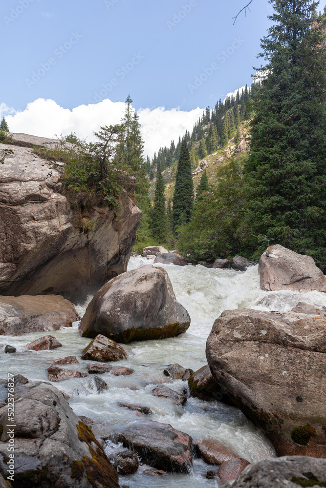 A beautiful stormy mountain river of milky hue flows rapidly among large stones and boulders near the mountains and the blue sky. The mountain river fascinates and attracts attention. 