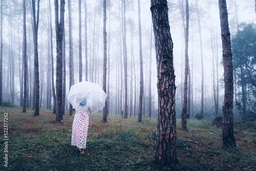 Wallpaper Mural pine forest Torontodigital.ca