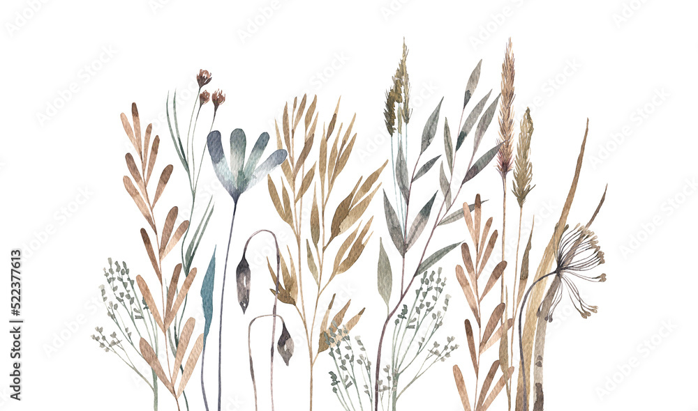 Dry meadow herbs and leaves horizontal composition on a white background. Wild plants watercolor illustration in herbarium style. Illustration for postcards, borders, banners. Dry meadow herbs and leaves horizontal composition on a white background. Wild plants watercolor illustration in herbarium style. Illustration for postcards, borders, banners.