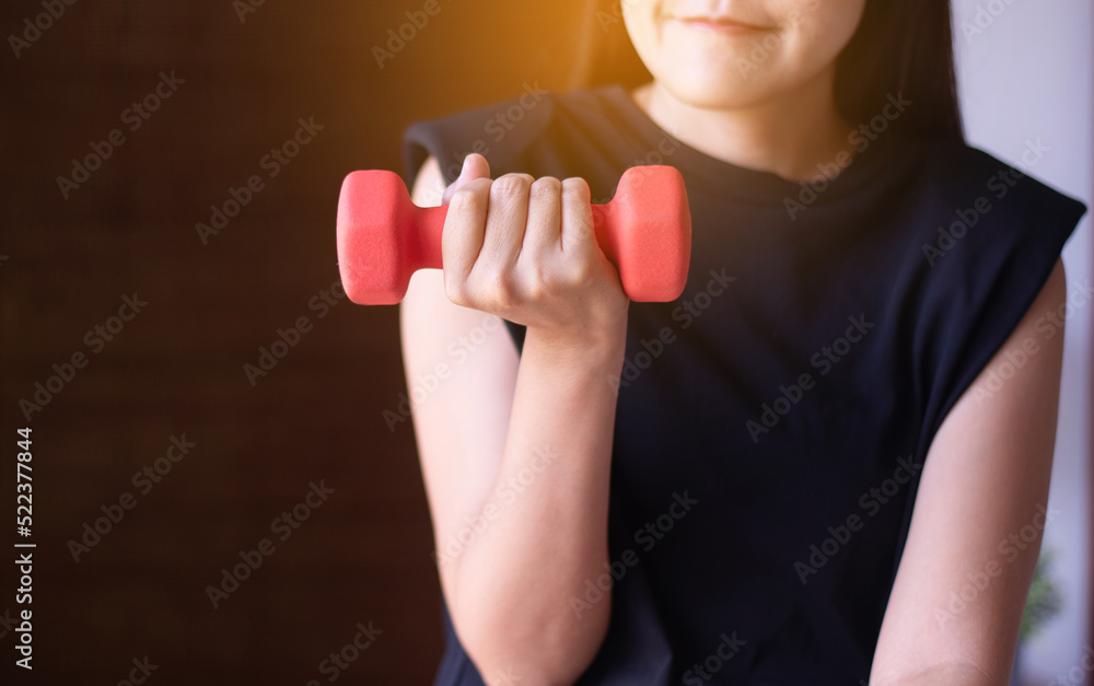 Woman exercise with lifting dumbbell at home,Personal workout,Routine plans exercises Woman exercise with lifting dumbbell at home,Personal workout,Routine plans exercises